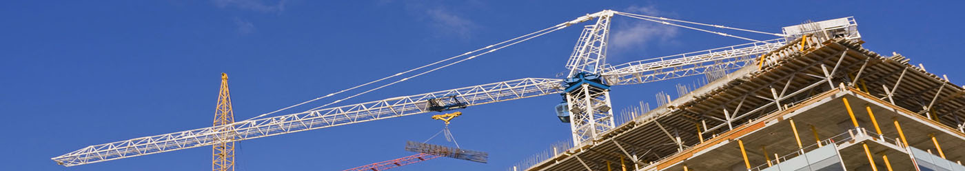 Bim Services